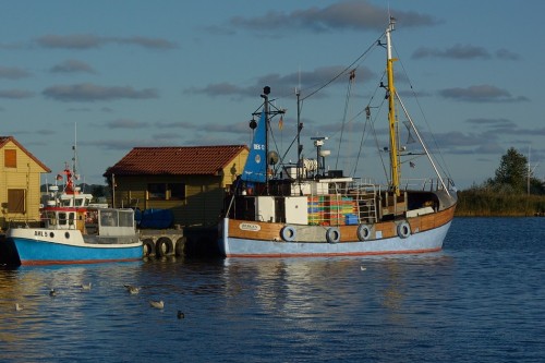 DSC_9121.jpg