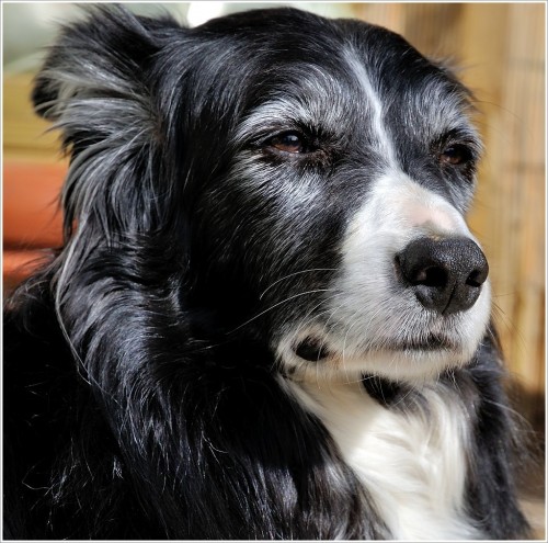 fredy_portrait.jpg