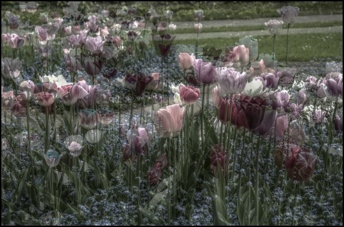 Luminance HDR 2.0.2-pre1 tonemapping parameters:
Operator: Mantiuk06
Parameters:
Contrast Mapping fa