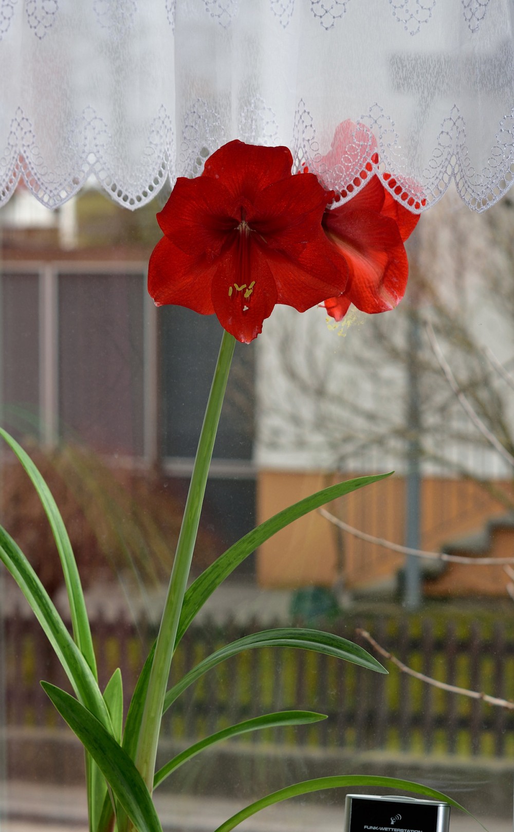 DSC_9048.jpg