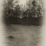 KR_540kDSC_7214_SW