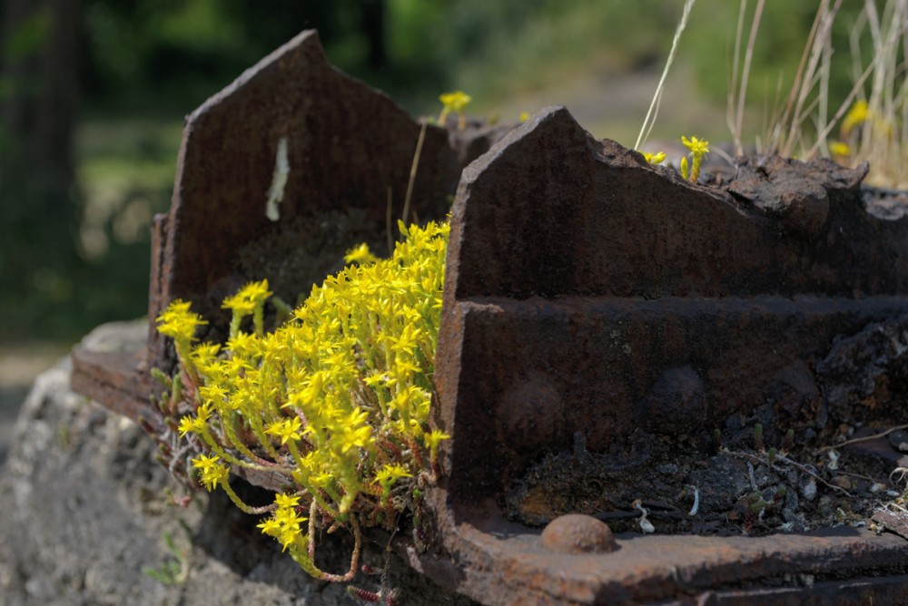 Duisburg Landschaftspark