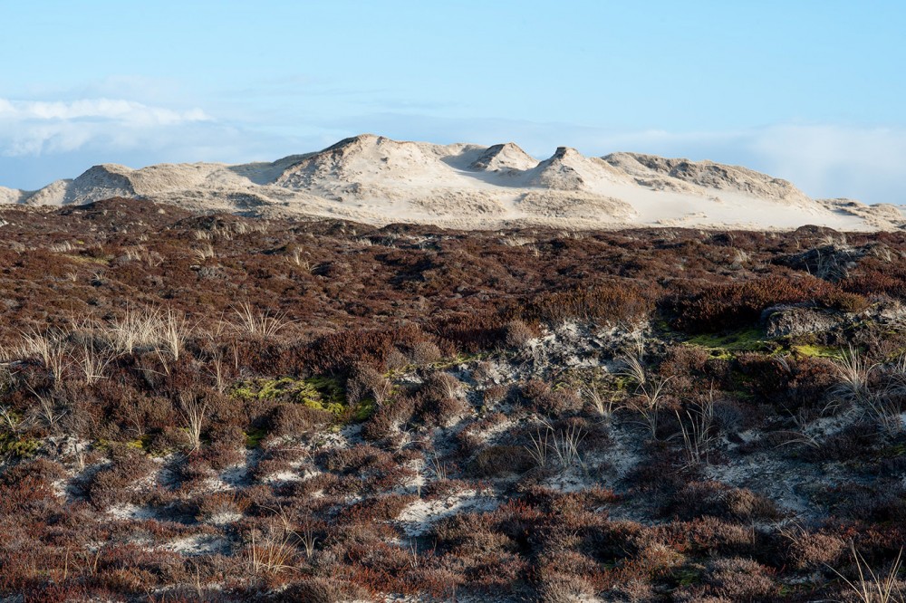 DSC 2794 Bearbeitet