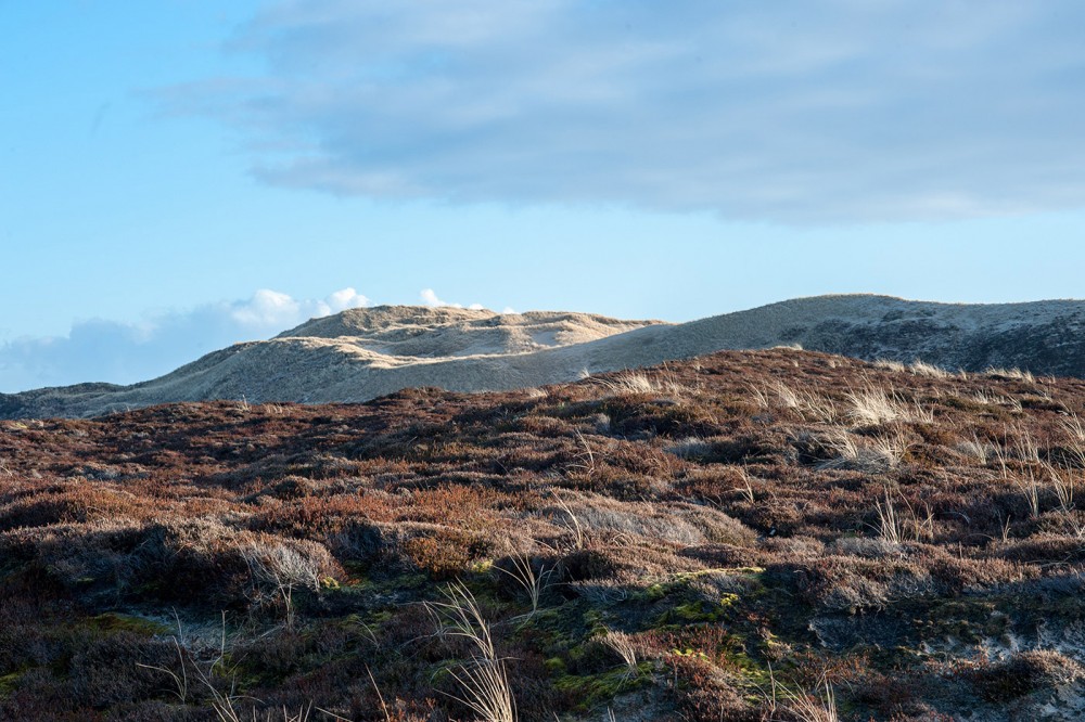 DSC 2795 Bearbeitet