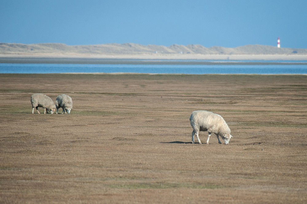 DSC_3098-Bearbeitet.jpg