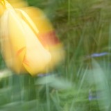 KR_540kDSC_8266