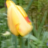 KR_540kDSC_8267