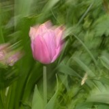 KR_540kDSC_8273