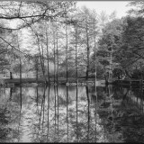 KR_540kDSC_8133_1
