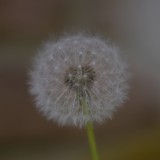 KR_540kDSC_9288