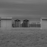 KR_540kDSC_0505_SW