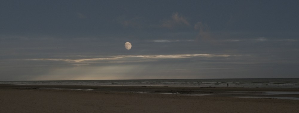 KR_540kDSC_0508_Mond.jpg