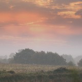KR_DSC_4041a
