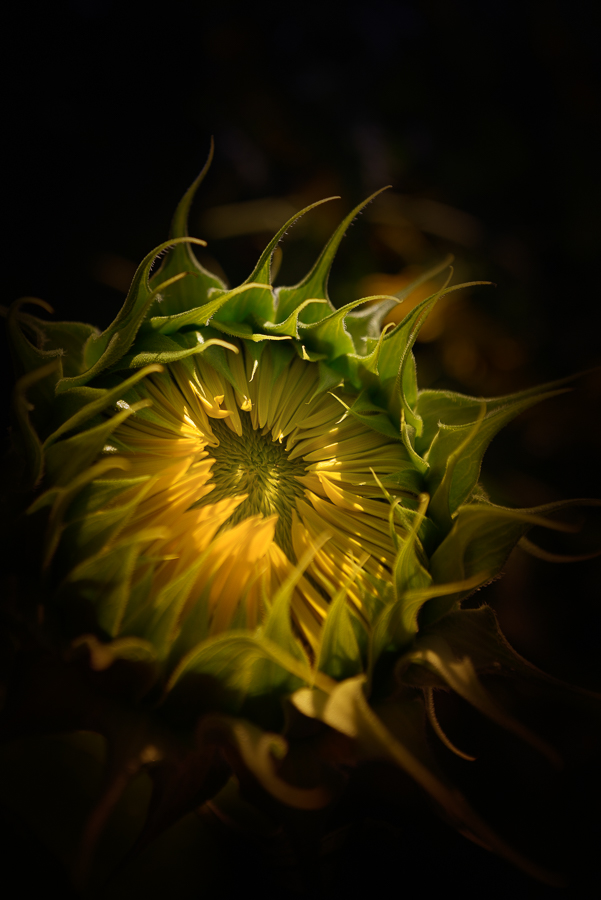 20150727 190705