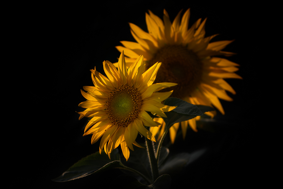 20160815 195613