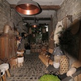 KR_540kDSC_1208.jpg