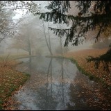 KR_xDSC_2899_3521.jpg