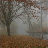 KR_xDSC_2910_3532.jpg