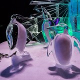 Eiswelt_019
