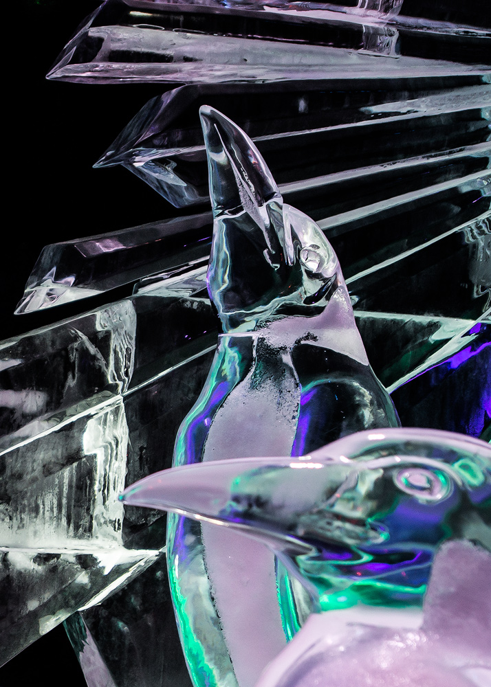 Eiswelt 020