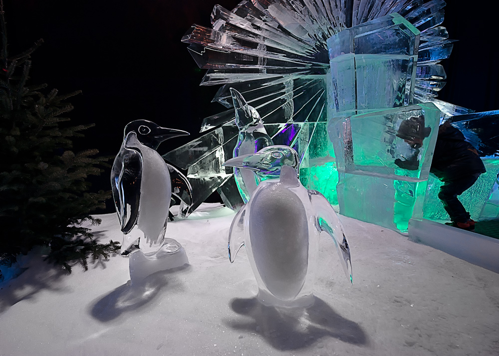 Eiswelt 021