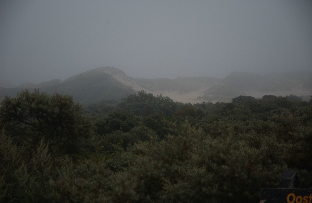 KRa_540kDSC_1238.jpg