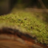 CK.R._DSC_9935.jpg