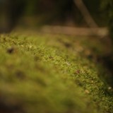 CK.R._DSC_9937