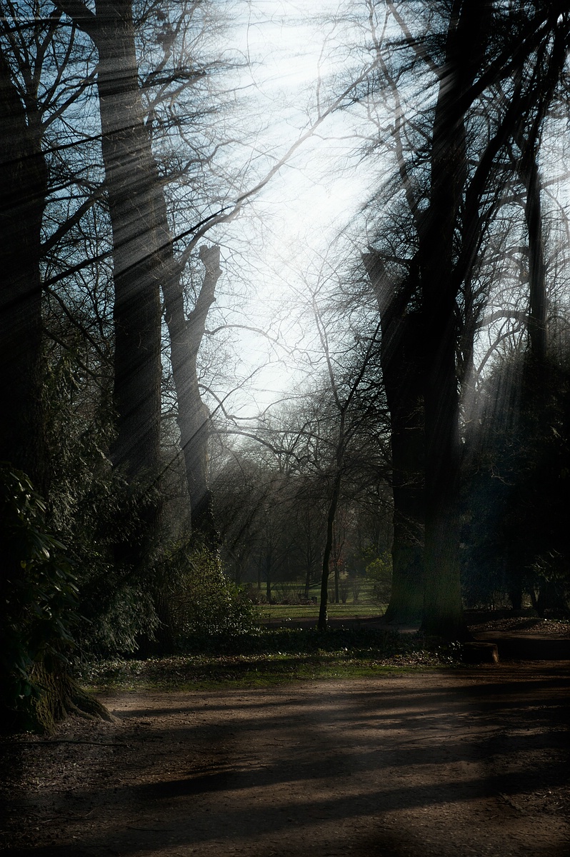 (C)K.R. DSC 0912