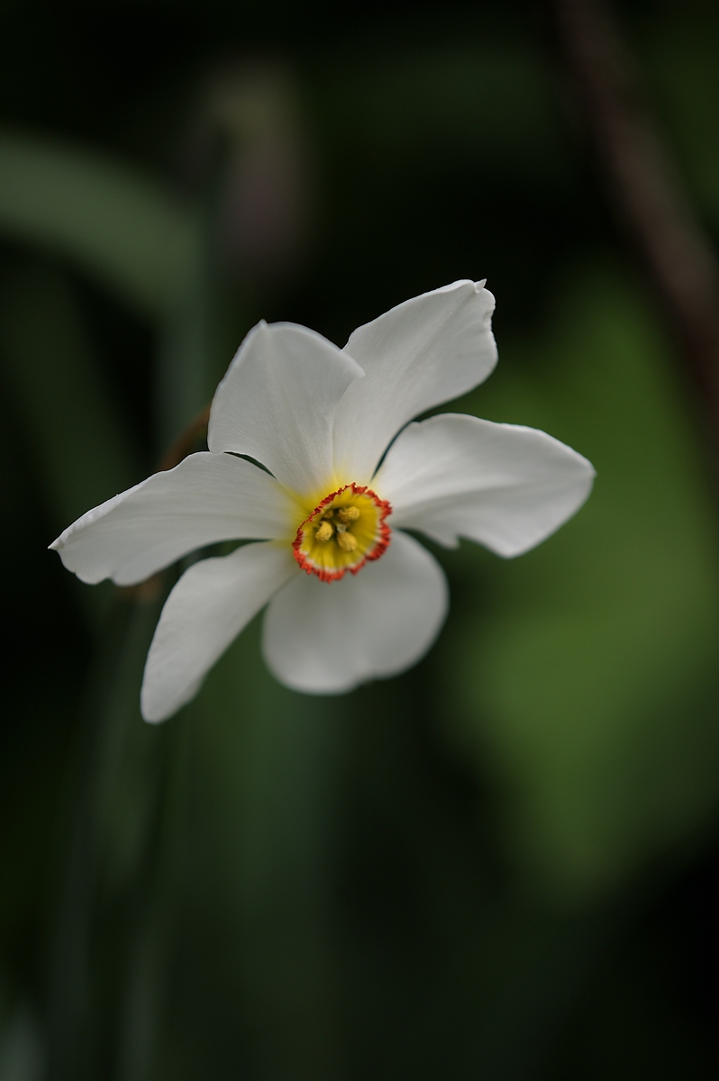 (C)K.R. DSC 2259