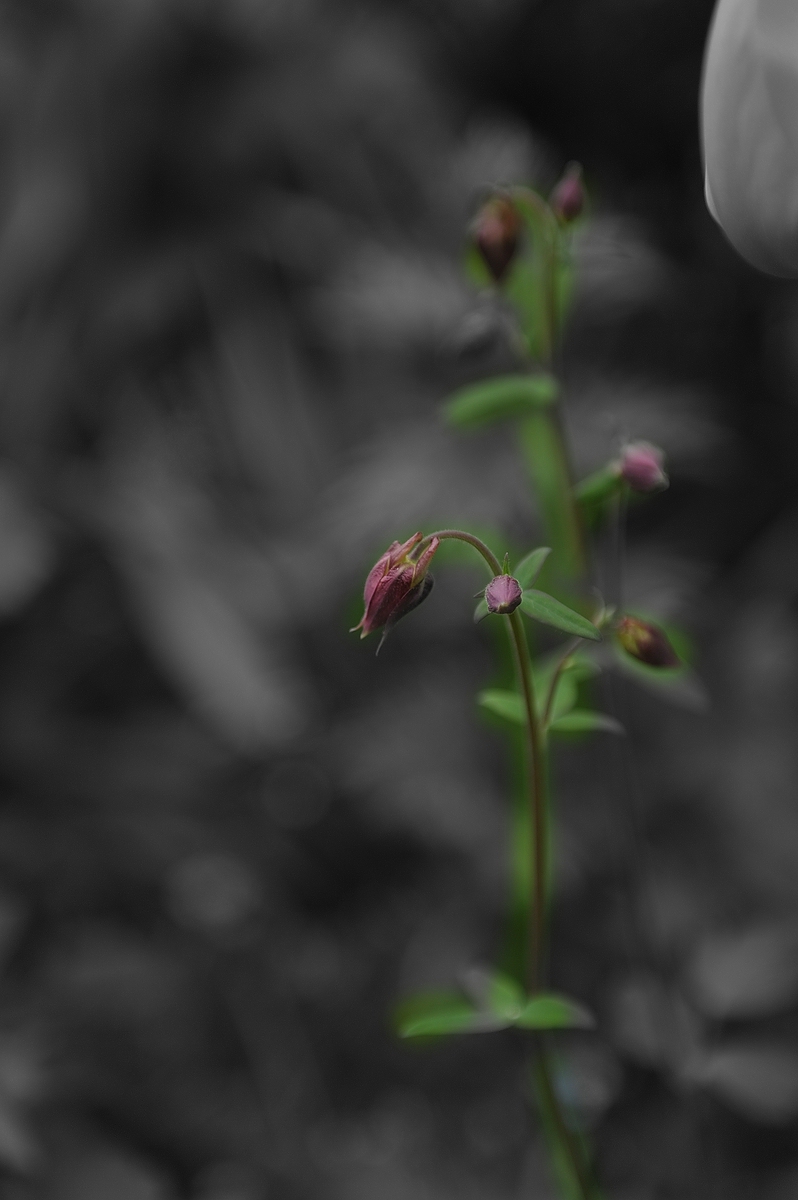 (C)K.R. DSC 2326 2