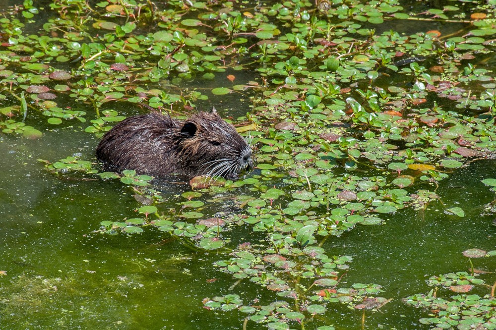 DSC 8377 Bearbeitet