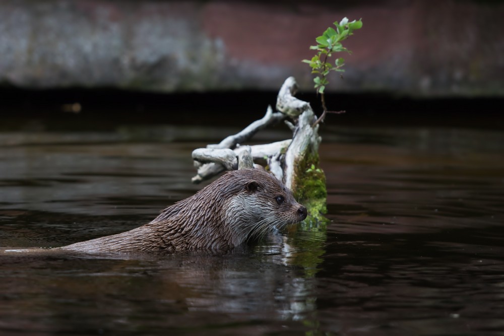 Tiergarten Nürnberg