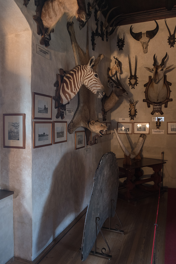 Telč - Schloss, Trophäensammlung
