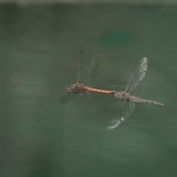 PTP_4771_web