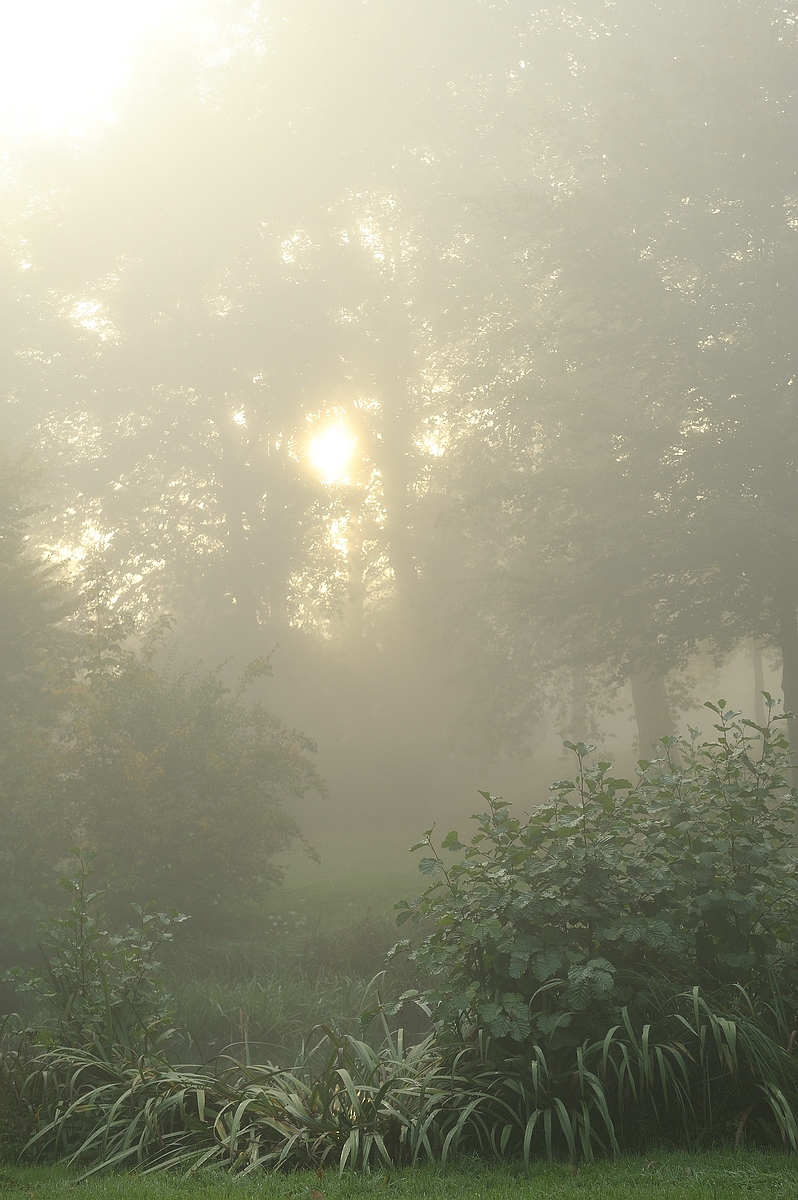 (c)K.R. 540DSC 4800