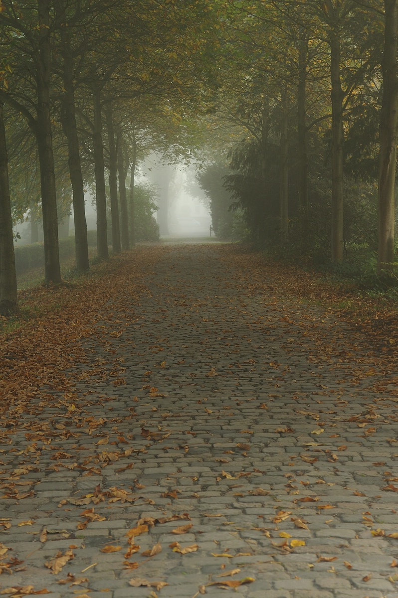 (c)K.R. 540DSC 4812