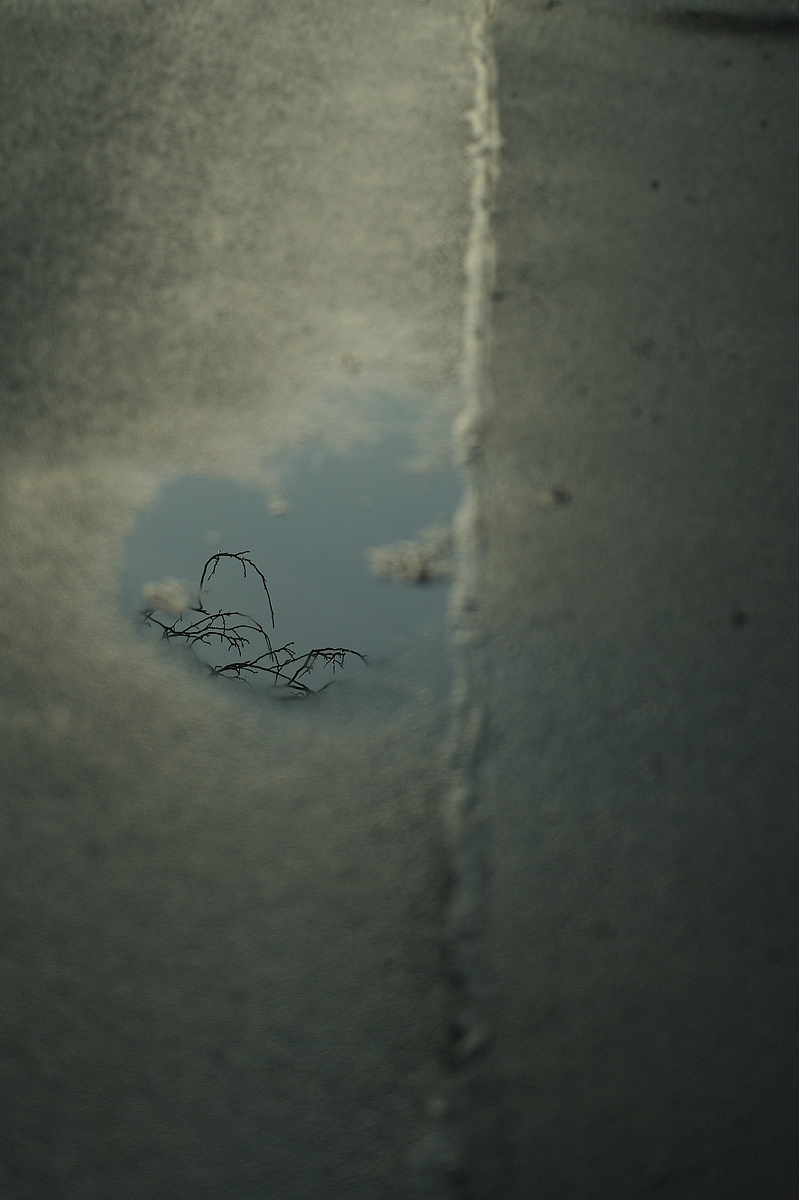 (c)K.R. 540DSC 5915