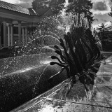 DSCF4884sw-web