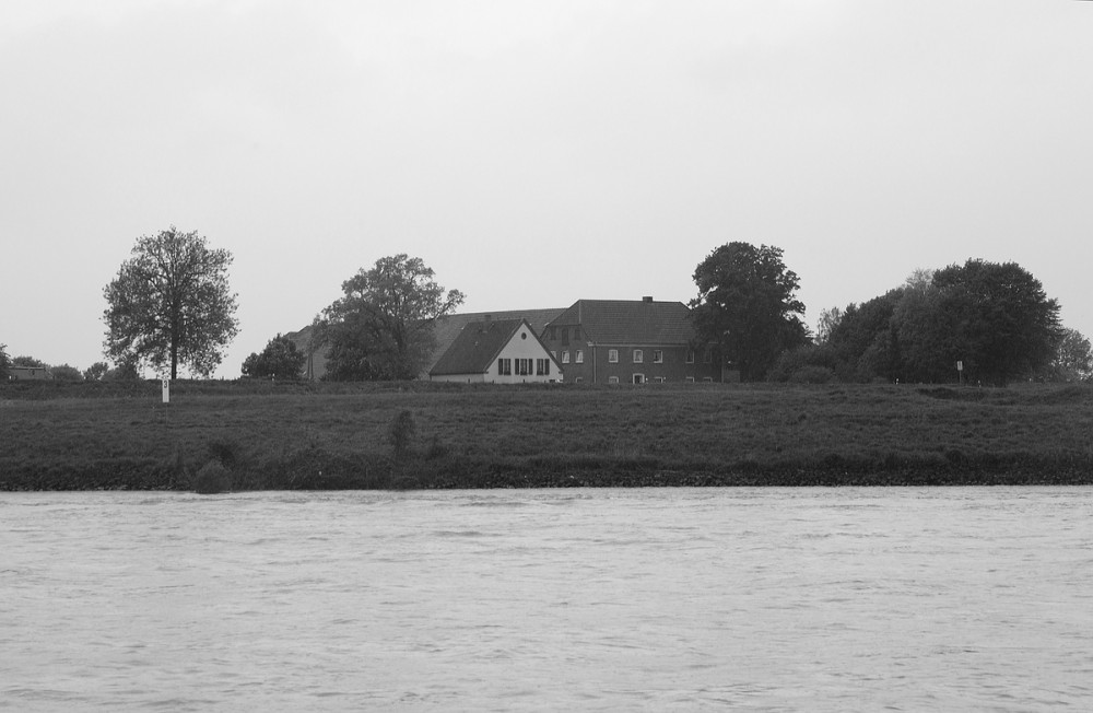 cK.R.-540DSC_3951_SW.jpg