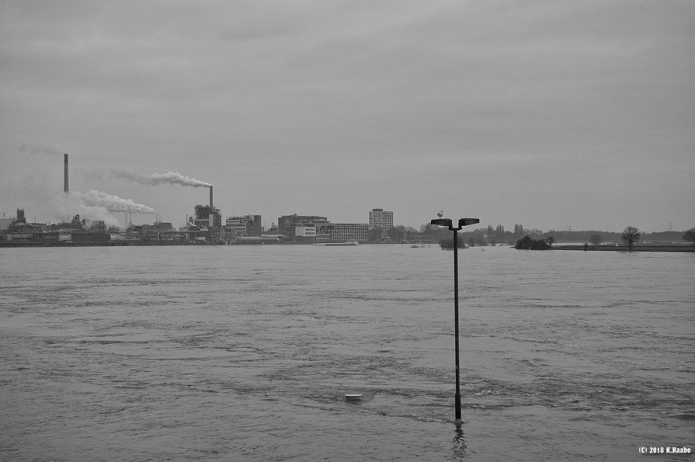 cK.R.-540DSC_7828_SW.jpg