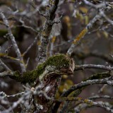 VB8_7346-web