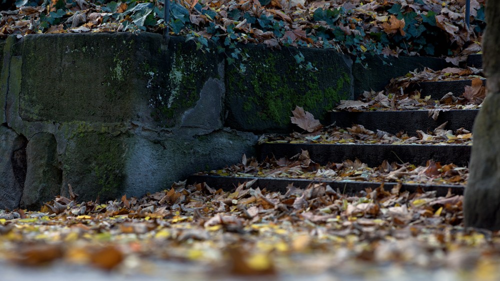 auf der Mauer