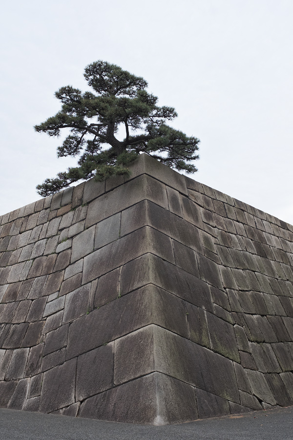 Tokyo Edo