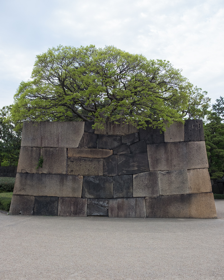 Tokyo Edo