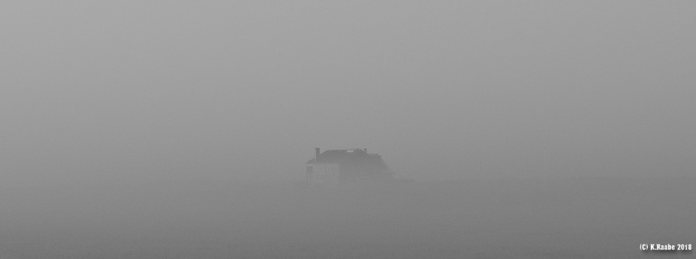cK.R.-540DSC_4101_1.jpg