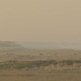cK.R.-540DSC_4106_1
