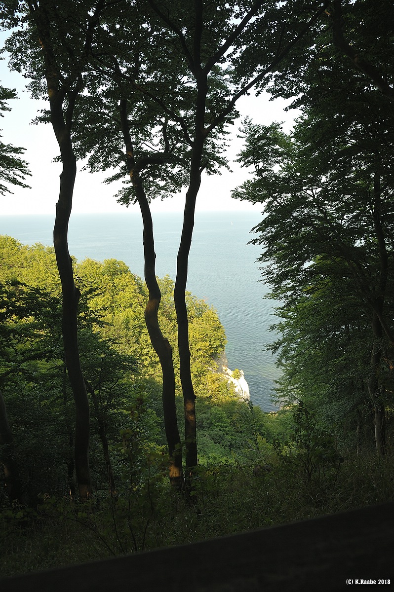 (c)K.R. 540DSC 3144