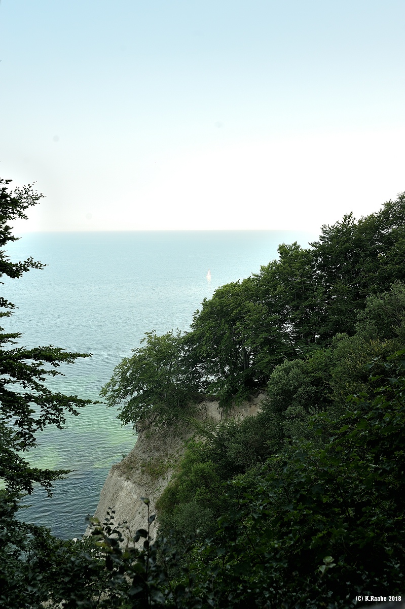(c)K.R. 540DSC 3152