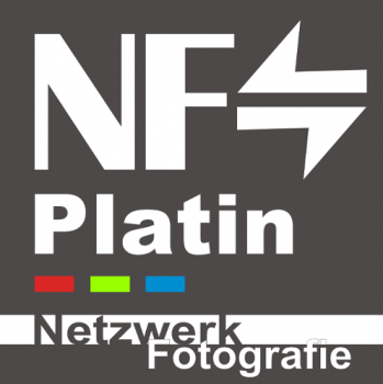nf-platin_shop.png